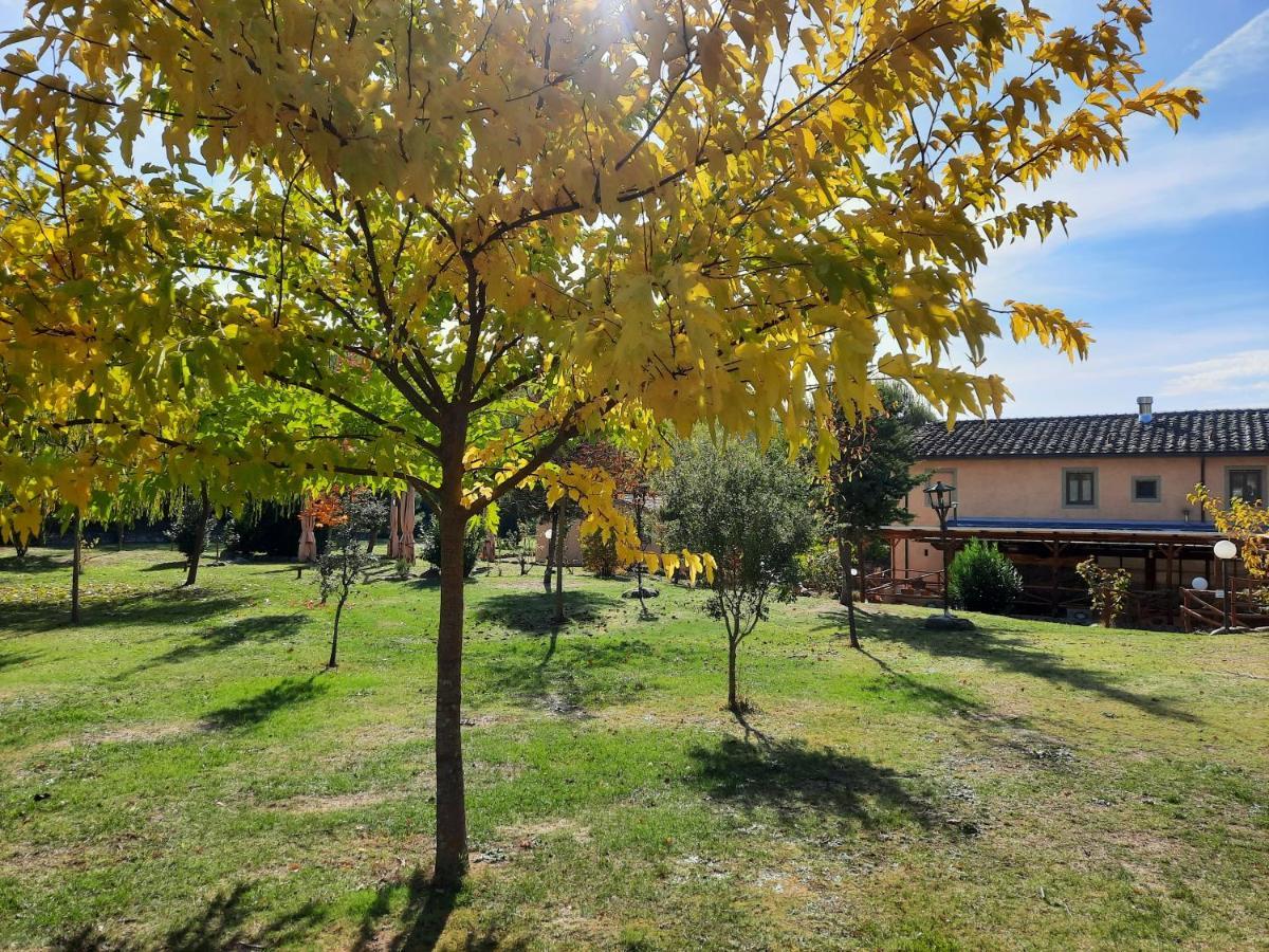 Sassomatto B&B Bioagriturelax Campogialli Exterior photo