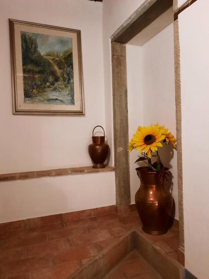 Sassomatto B&B Bioagriturelax Campogialli Exterior photo